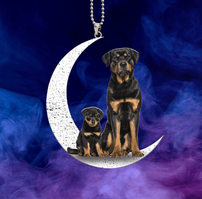 Rottweiler Car Ornament AK44