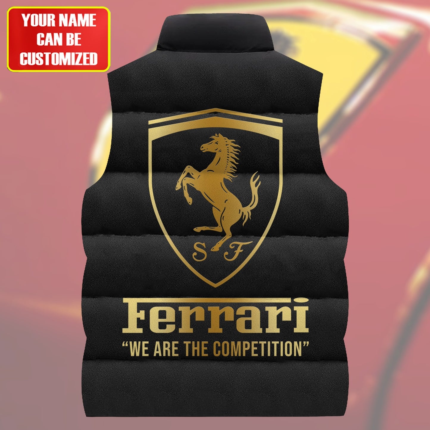 SF Luxury Sleeveless Windproof Puffer Jacket Q170401