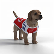 Arsenal New Kits Personalised Pet Tank Top FC (Dog Football Costume and Cat Football Costume Gift)