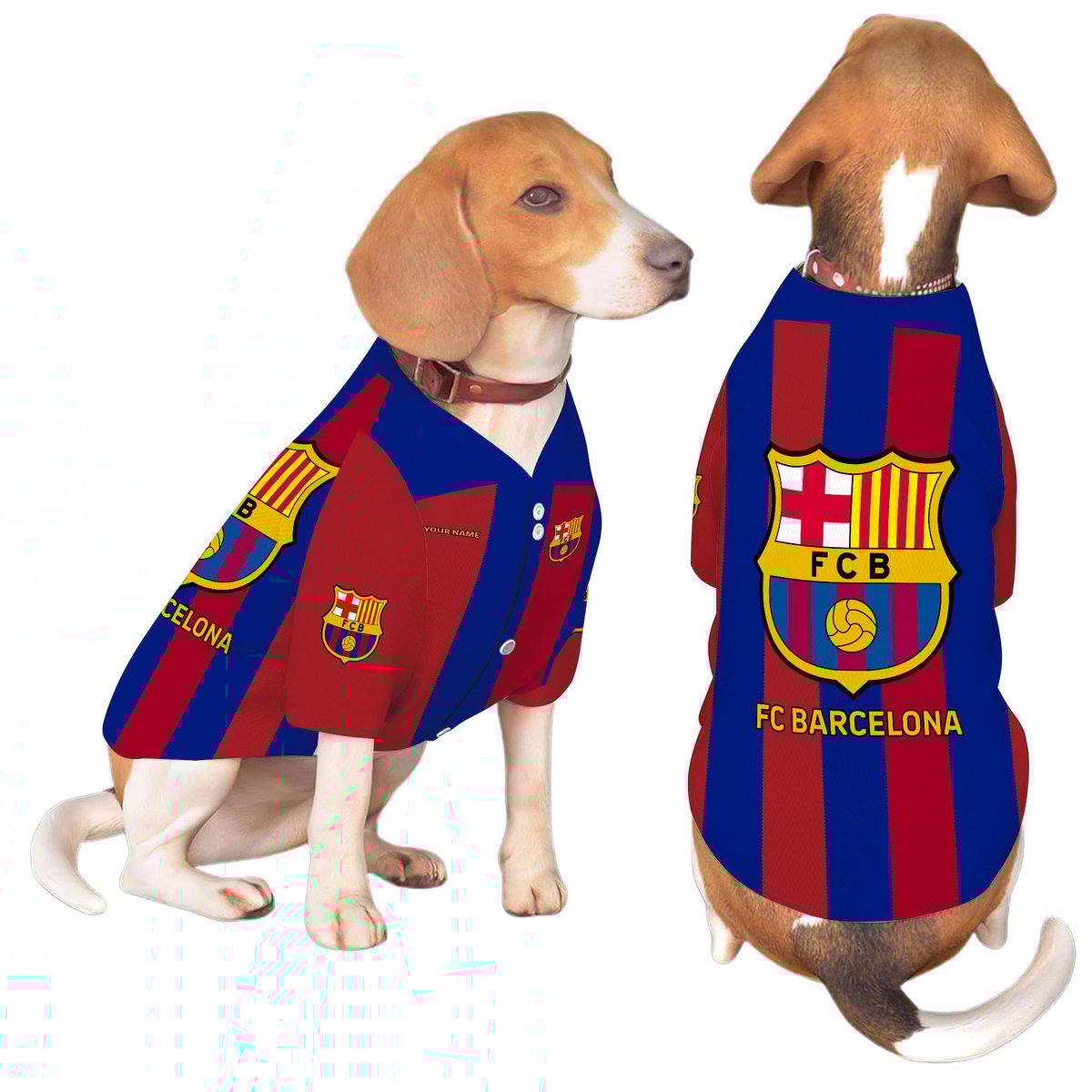 Barcelona FC Personalised Pet Baseball Jersey (Dog Football Costume and Cat Football Costume Gift) P160901