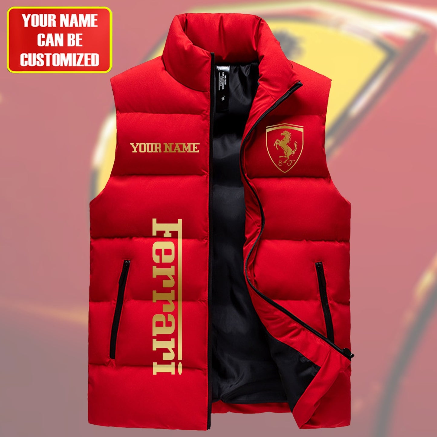 SF Luxury Sleeveless Windproof Puffer Jacket Q170401