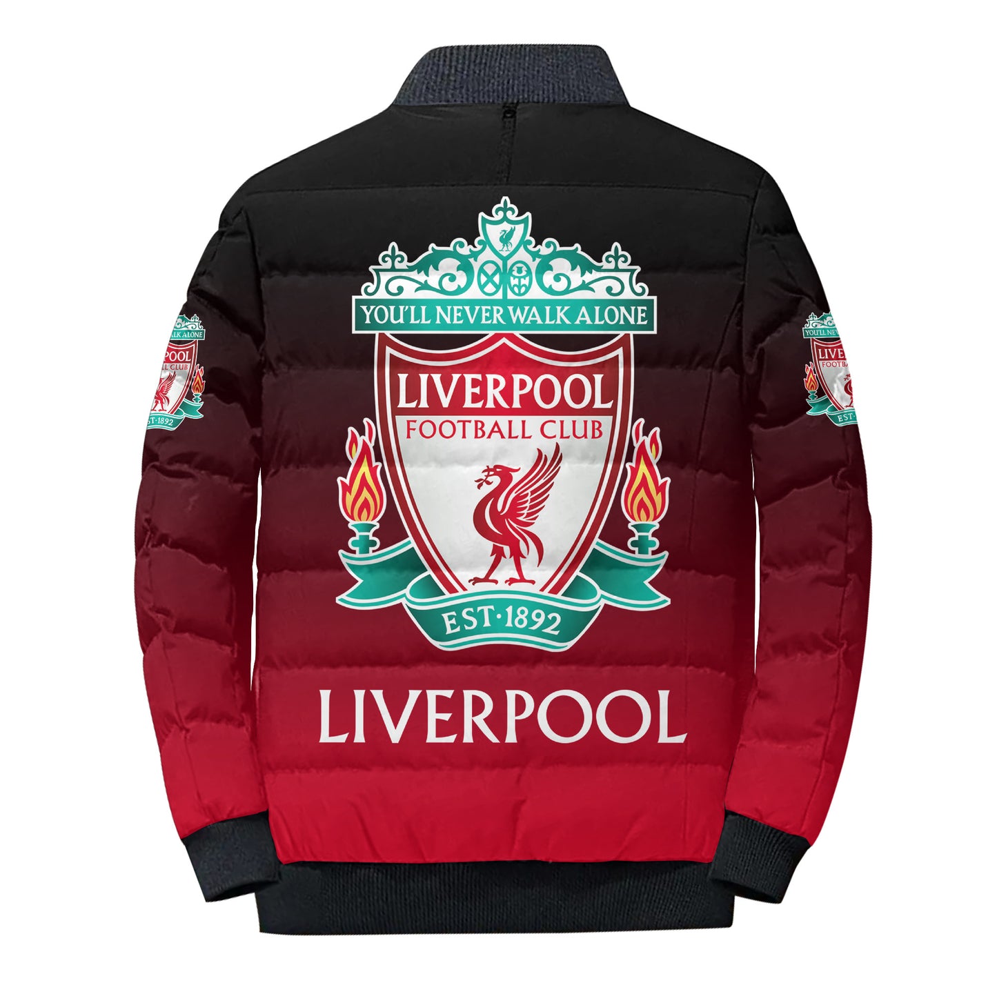 Personalized LVP gradient Puffer Jacket 3D